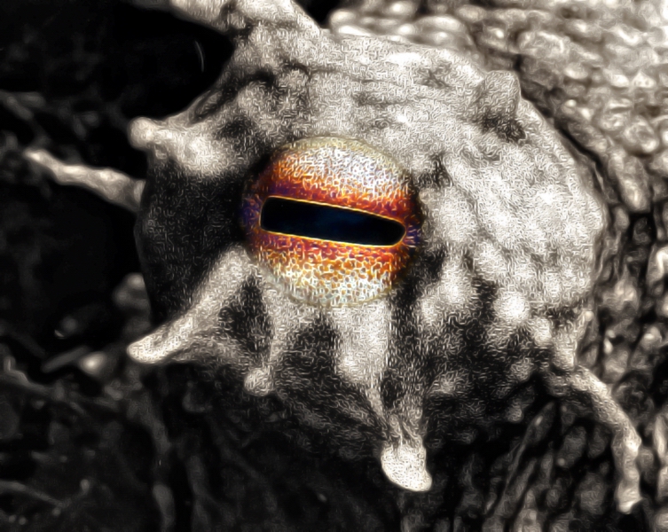 DSCN0695 copy resize